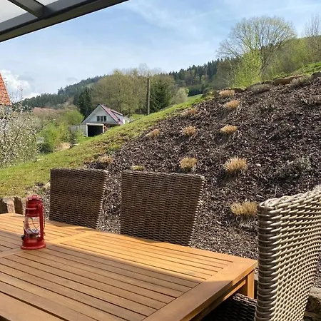 S-Suite Das Design-Ferienhaus Im Schwarzwald Biberach  Exterior photo