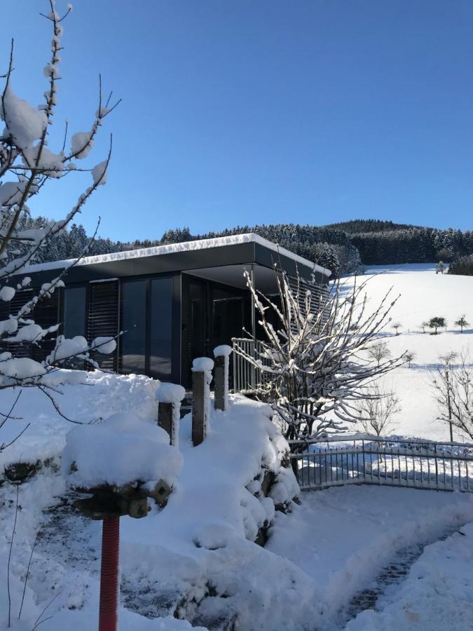 S-suite Design-ferienhaus Im Schwarzwald Holiday home Biberach (Baden)